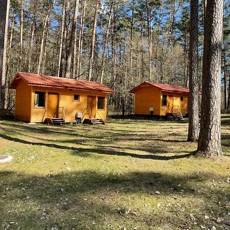 Domki I Pole Namiotowe Pod Sosnami Villa Olsztyn  Eksteriør bilde