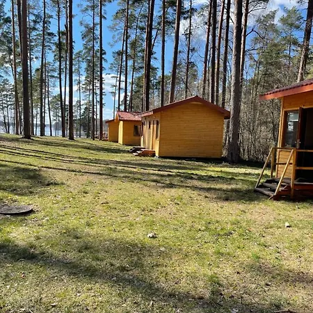 Domki I Pole Namiotowe Pod Sosnami Villa Olsztyn  Eksteriør bilde