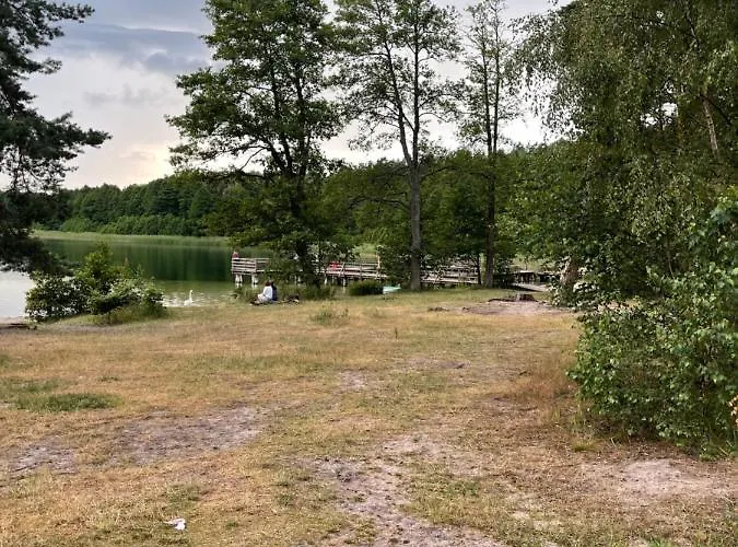 Domki I Pole Namiotowe Pod Sosnami