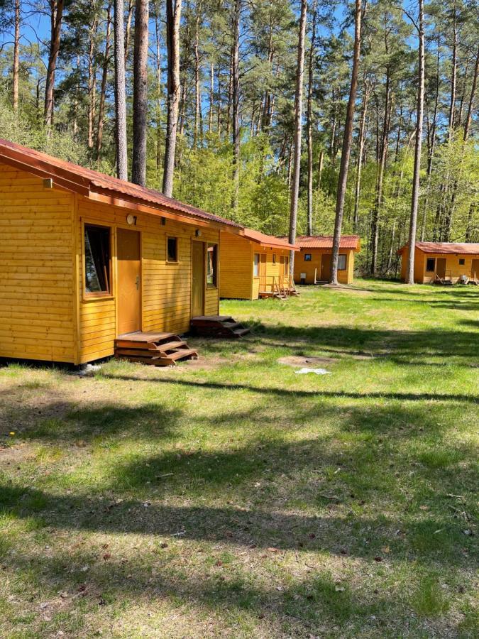 Holiday home Domki I Pole Namiotowe Pod Sosnami Olsztyn (Warmian-Masurian)