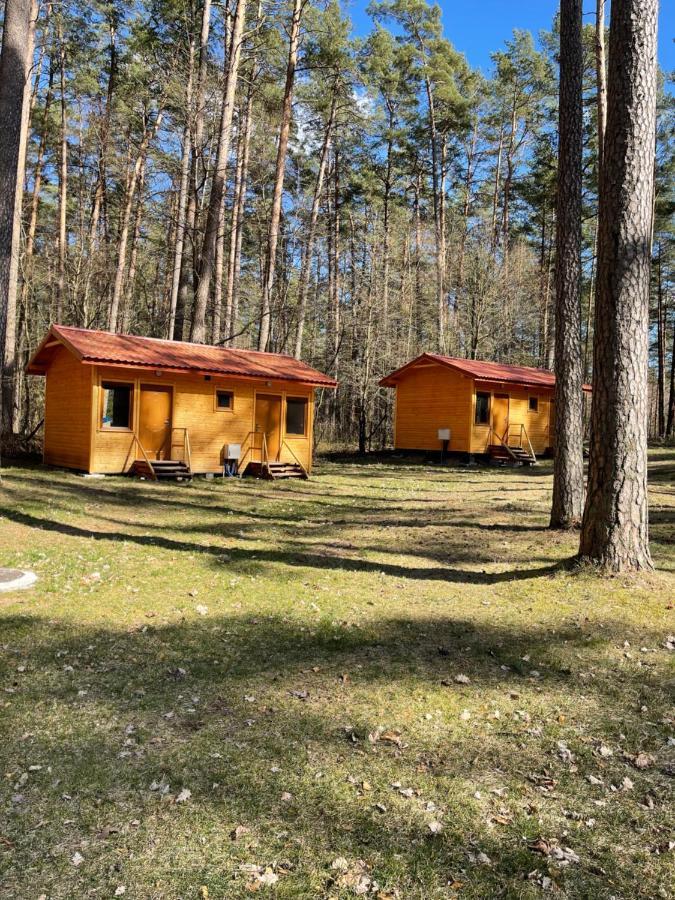 Domki I Pole Namiotowe Pod Sosnami Holiday home