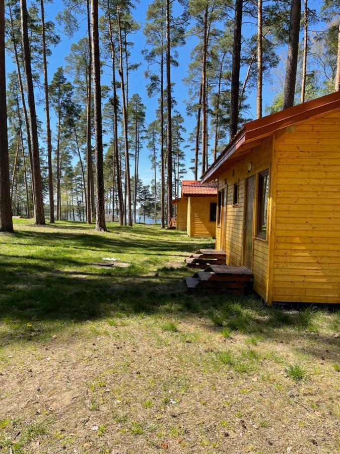 Domki I Pole Namiotowe Pod Sosnami Holiday home *