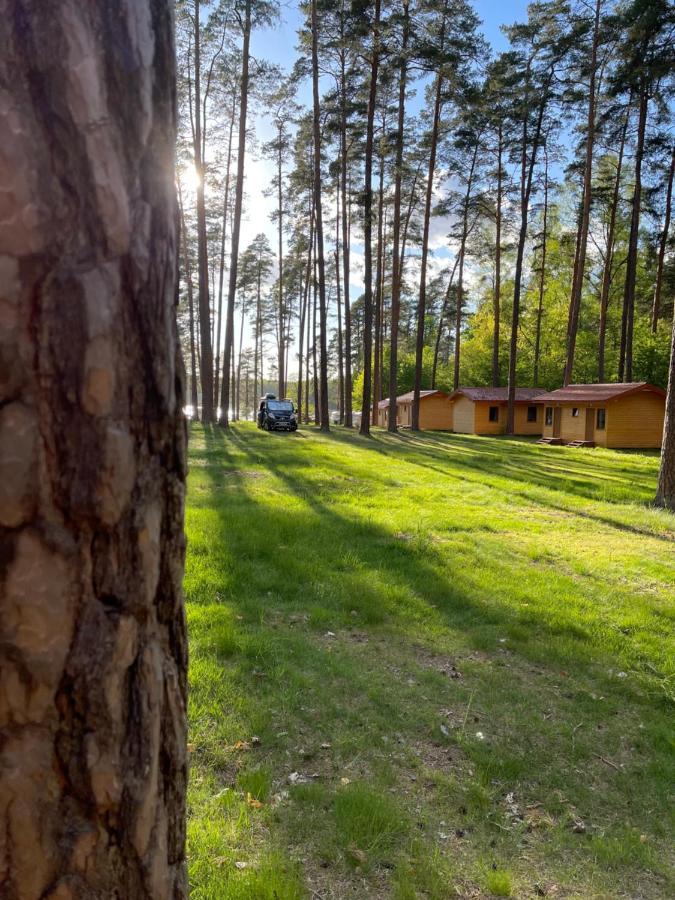 Domki I Pole Namiotowe Pod Sosnami